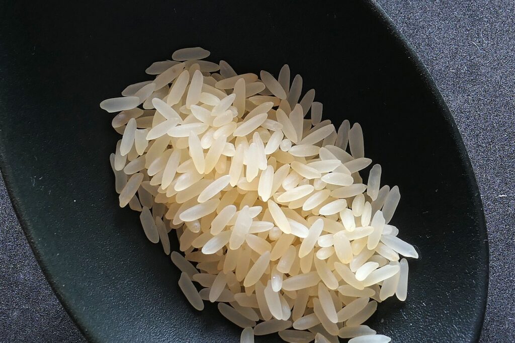 Mexico arroz variedad