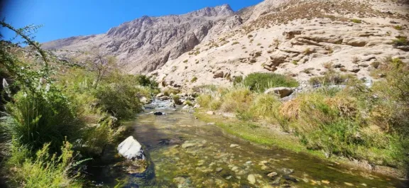 DGA aprueba dos nuevos acuerdos de redistribución de aguas en la cuenca del río Limarí