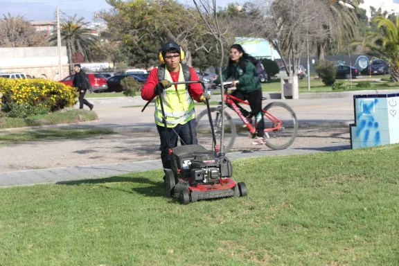 “Entre la espalda y la pared”: Aprueban trato directo para mantención de áreas verdes en La Serena