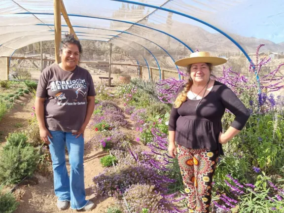 Infusiones, aromaterapia y hasta sahumerios: Usuarias de INDAP destacan en el rubro de las hierbas medicinales