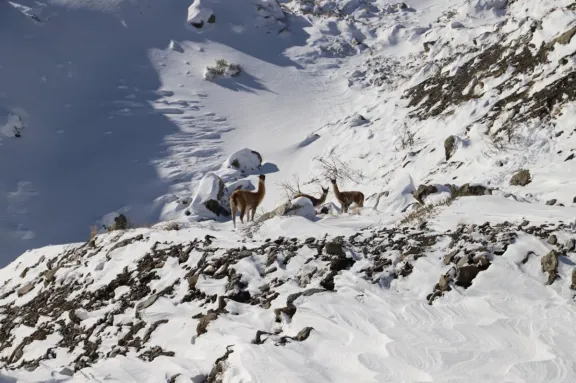 Pronostican precipitaciones de nieve en la cordillera de las regiones de Atacama y Coquimbo