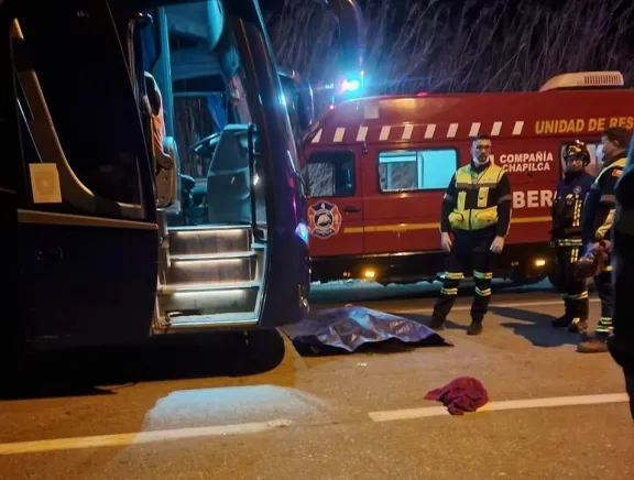 Vicuña: Hombre fallece tras ser atropellado en la Ruta CH 41