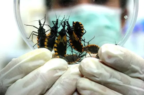Seremi de Salud identifica más de 2 mil casos de Chagas en la región