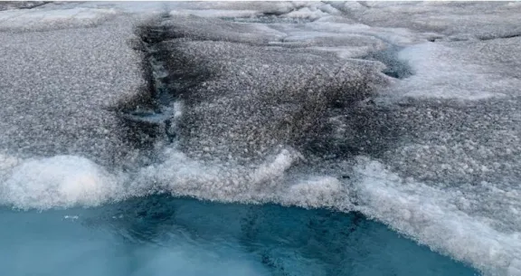 ¿Qué podría pasar? Investigadores encuentran misteriosos virus gigantes en el hielo de Groenlandia