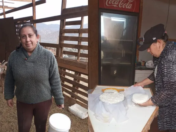La historia de Ana Ávalos, la emprendedora de quesos de cabra que destaca en la Región de Coquimbo