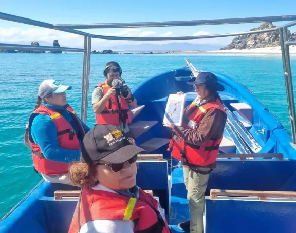 Con éxito concluye “Doble Narrativas”, un trabajo colaborativo entre pescadores y biólogas marinas en Punta de Choros