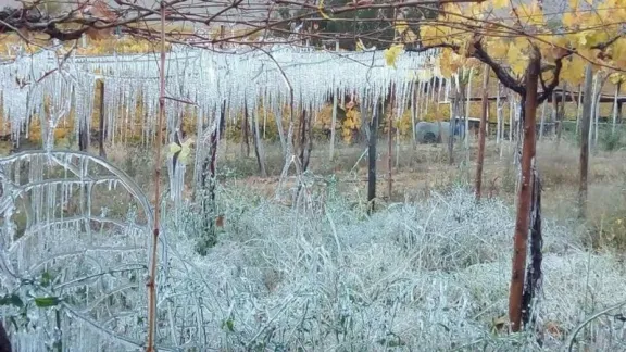 Anuncian heladas en siete regiones del país a partir de este lunes: incluye a Coquimbo