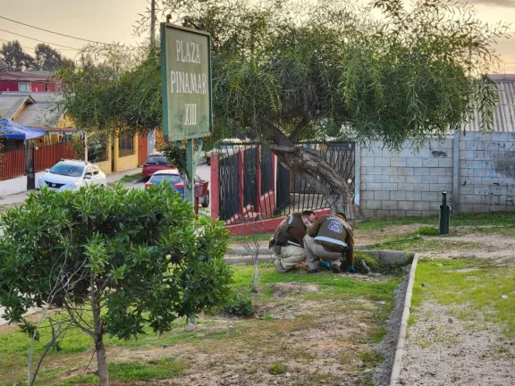 Urgente: encuentran feto en plaza ubicada en el sector de Las Compañías, La Serena