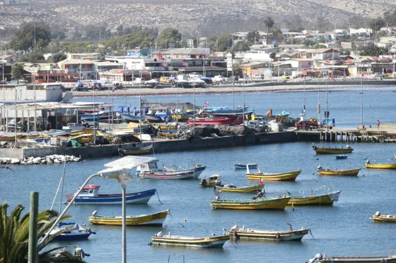 Burocracia retrasa la entrega formal de la caleta en Tongoy y afecta a pescadores