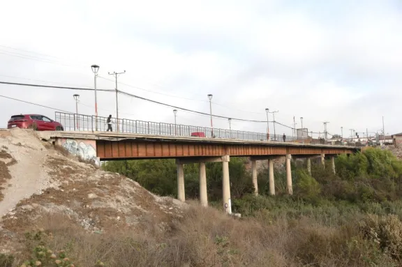 ¿Quién se hace cargo? Vecinos en alerta por falta de mantención del Puente El Libertador