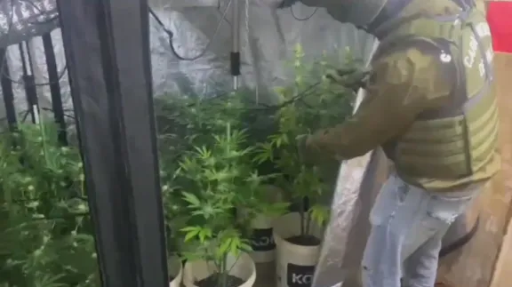 OS7 desarticuló laboratorio de drogas tras intervención en San Juan
