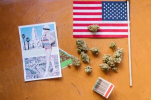 Cannabis y Salud: reclamos por despenalización, acceso y soberanía en el 39° Encuentro