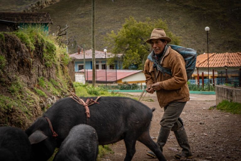 Polémica por acusaciones de uso de IA contra el novelista peruano David Silva Rojas